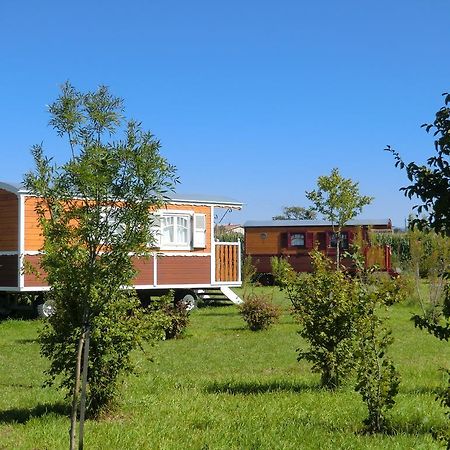 Les Roulottes-Gites De La Ferme De L'Autruche Dromoise Livron-sur-Drôme エクステリア 写真